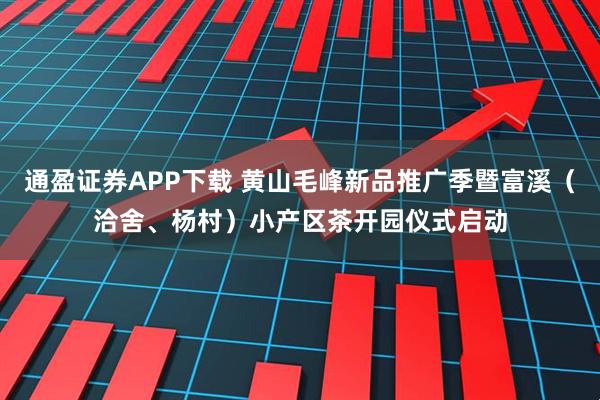 通盈证券APP下载 黄山毛峰新品推广季暨富溪（洽舍、杨村）小产区茶开园仪式启动