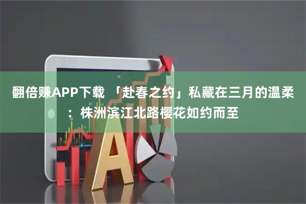 翻倍赚APP下载 「赴春之约」私藏在三月的温柔：株洲滨江北路樱花如约而至