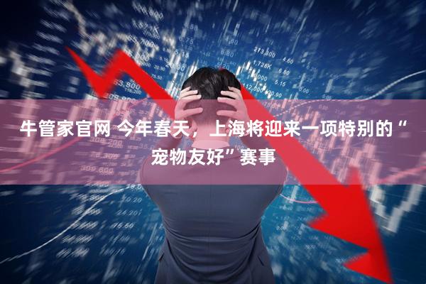 牛管家官网 今年春天，上海将迎来一项特别的“宠物友好”赛事