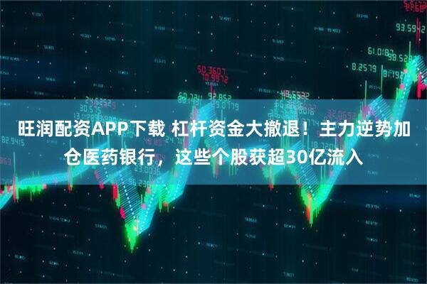 旺润配资APP下载 杠杆资金大撤退!主力逆势加仓医药银行,这些个股获超30亿流入